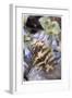 Feather and Flowers-Donald Paulson-Framed Giclee Print