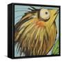 Feather Bird 25-Tim Nyberg-Framed Stretched Canvas