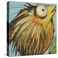 Feather Bird 25-Tim Nyberg-Stretched Canvas