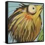 Feather Bird 25-Tim Nyberg-Framed Stretched Canvas