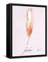 Feather Dance-Gregory Gorham-Framed Stretched Canvas