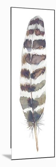 Feather Drift I-Sandra Jacobs-Mounted Giclee Print