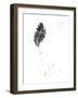 Feather {Fay-Erie Dust}, 2014-Bella Larsson-Framed Giclee Print
