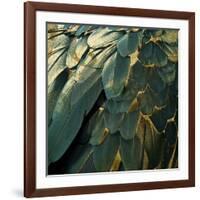 Feather Glitter-Color Bakery-Framed Giclee Print