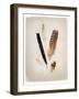 Feather Group II-Debra Van Swearingen-Framed Art Print