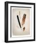 Feather Group II-Debra Van Swearingen-Framed Art Print