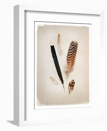 Feather Group II-Debra Van Swearingen-Framed Art Print