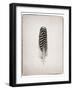 Feather I BW-Debra Van Swearingen-Framed Art Print