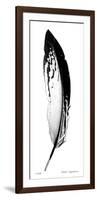 Feather I-Anthony Tahlier-Framed Giclee Print