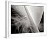 Feather I-Jim Christensen-Framed Photographic Print