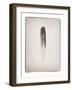 Feather II BW-Debra Van Swearingen-Framed Art Print