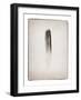 Feather II BW-Debra Van Swearingen-Framed Art Print