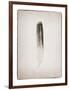 Feather II BW-Debra Van Swearingen-Framed Art Print