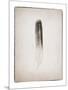 Feather II BW-Debra Van Swearingen-Mounted Art Print