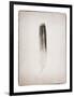 Feather II BW-Debra Van Swearingen-Framed Art Print