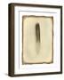 Feather II Vintage-Debra Van Swearingen-Framed Art Print