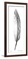 Feather II-Anthony Tahlier-Framed Giclee Print