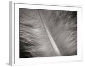 Feather II-Jim Christensen-Framed Photographic Print