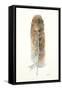 Feather II-Patti Mann-Framed Stretched Canvas