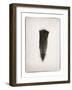 Feather III BW-Debra Van Swearingen-Framed Art Print