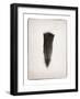 Feather III BW-Debra Van Swearingen-Framed Art Print