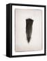 Feather III BW-Debra Van Swearingen-Framed Stretched Canvas