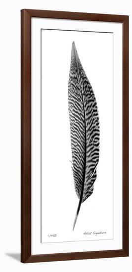 Feather III-Anthony Tahlier-Framed Giclee Print