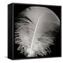 Feather III-Jim Christensen-Framed Stretched Canvas