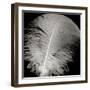 Feather III-Jim Christensen-Framed Photographic Print