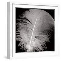 Feather III-Jim Christensen-Framed Photographic Print
