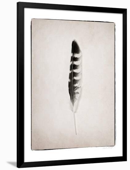 Feather IV BW-Debra Van Swearingen-Framed Art Print