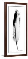 Feather IV-Anthony Tahlier-Framed Giclee Print