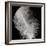 Feather IV-Jim Christensen-Framed Photographic Print