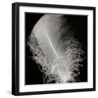 Feather IV-Jim Christensen-Framed Photographic Print