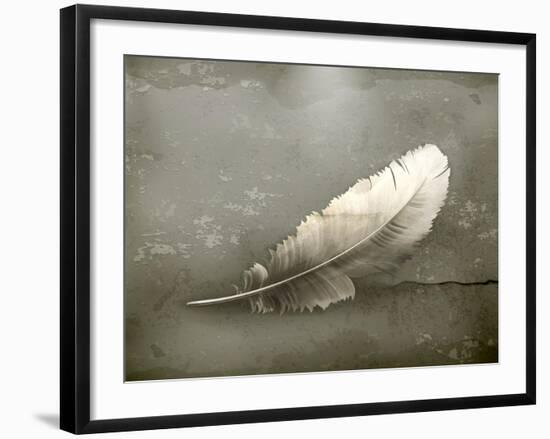 Feather, Old-Style-Nataliia Natykach-Framed Art Print