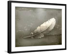 Feather, Old-Style-Nataliia Natykach-Framed Art Print