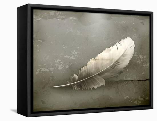 Feather, Old-Style-Nataliia Natykach-Framed Stretched Canvas