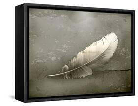 Feather, Old-Style-Nataliia Natykach-Framed Stretched Canvas