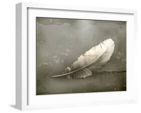 Feather, Old-Style-Nataliia Natykach-Framed Art Print