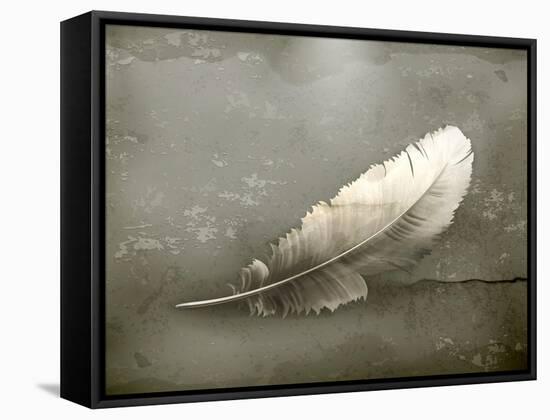 Feather, Old-Style-Nataliia Natykach-Framed Stretched Canvas