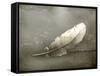 Feather, Old-Style-Nataliia Natykach-Framed Stretched Canvas