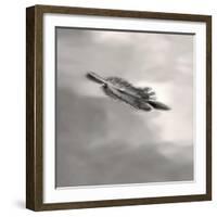 Feather on Liquid Sky-Nicholas Bell-Framed Photographic Print