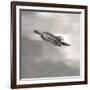 Feather on Liquid Sky-Nicholas Bell-Framed Photographic Print