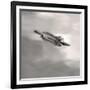 Feather on Liquid Sky-Nicholas Bell-Framed Photographic Print