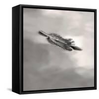 Feather on Liquid Sky-Nicholas Bell-Framed Stretched Canvas