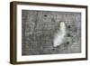 Feather on Rough Wood-Cora Niele-Framed Photographic Print