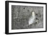 Feather on Rough Wood-Cora Niele-Framed Photographic Print