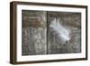 Feather on Wood II-Cora Niele-Framed Photographic Print