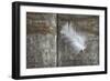 Feather on Wood II-Cora Niele-Framed Photographic Print