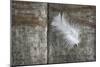 Feather on Wood II-Cora Niele-Mounted Photographic Print